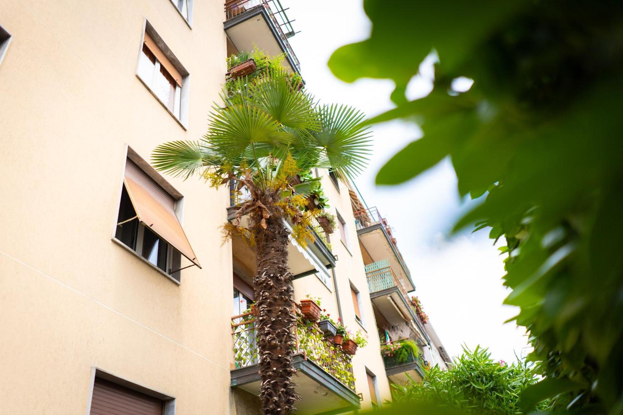 Como Lake Turati Residence Exteriér fotografie